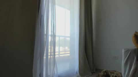 Donatella online show from February 10, 2025, 12:08 pm