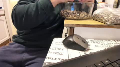 menu  below online show from January 1, 2025, 12:00 am