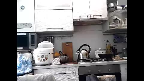 Dorrie Ann online show from March 1, 2025, 8:13 am