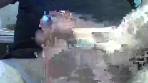 dosser8 online show from February 8, 2026, 2:31 pm