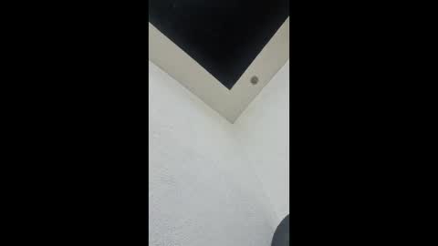 dots66289308004 online show from March 28, 2026, 12:10 am