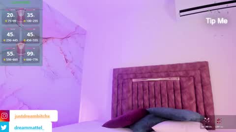 Snapshot of dreammatell_ chatting on December 23, 2025, 3:48 am Dream Matell online show from December 23, 2025, 3:48 am