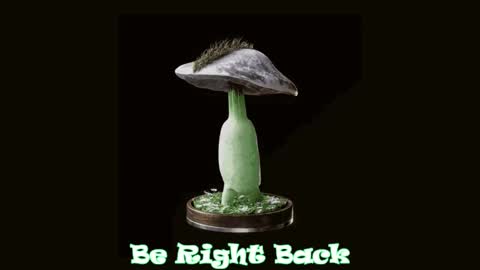 Tara  Sonny online show from February 20, 2025, 11:54 pm