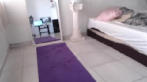 Drogama online show from February 18, 2025, 12:28 pm