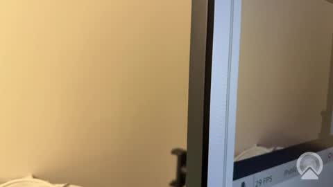 Snapshot of druelsexy chatting on February 1, 2026, 12:31 am Ell Dru Sexy online show from February 1, 2026, 12:31 am