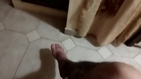 dthedog12 online show from September 23, 2025, 9:51 pm