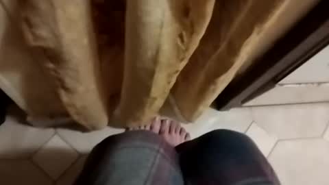 dthedog12 online show from October 8, 2025, 9:12 pm