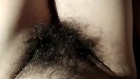 dthedog12 online show from October 10, 2025, 8:30 pm