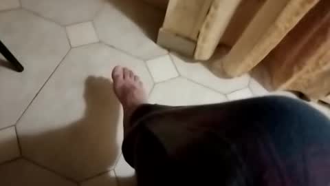 dthedog12 online show from October 28, 2025, 3:10 am