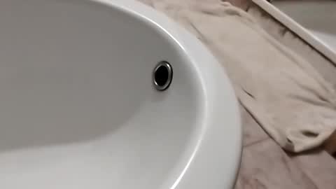 dthedog12 online show from November 1, 2025, 10:12 pm