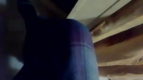 dthedog12 online show from December 3, 2025, 10:41 pm