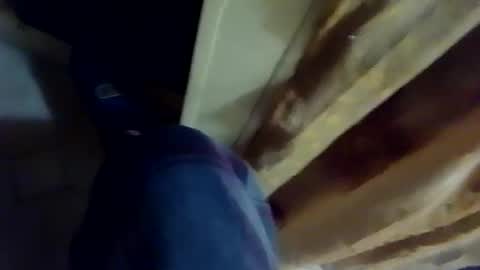 dthedog12 online show from February 4, 2026, 3:12 am