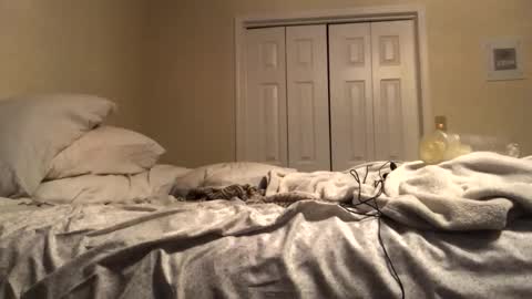 ducebabydee online show from December 19, 2025, 10:11 am