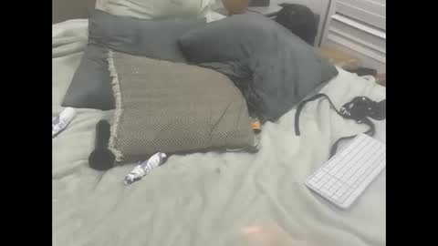 Snapshot of dudebrocuz69 chatting on February 18, 2026, 11:55 pm Dude online show from February 18, 2026, 11:55 pm