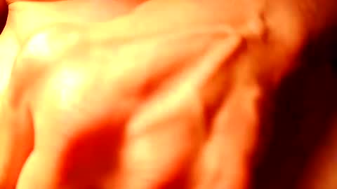 nomadjon online show from February 8, 2025, 6:43 am