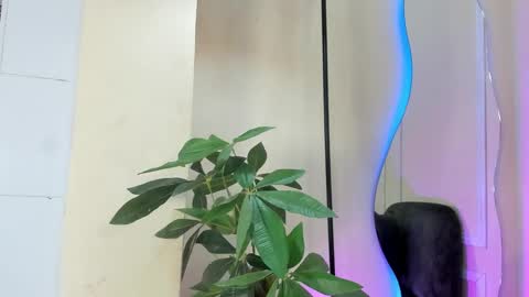 dulce__fiore07 online show from December 21, 2025, 12:23 pm