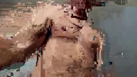 dvsshoes12 online show from October 12, 2025, 11:26 pm