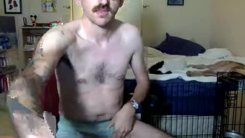 dwdw59 online show from April 23, 2026, 4:03 am