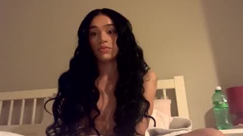 Snapshot of dynasty313 chatting on January 4, 2025, 11:38 pm Dynasty online show from January 4, 2025, 11:38 pm