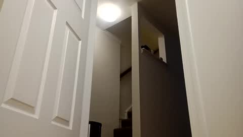 easternjerk online show from December 16, 2025, 11:04 am