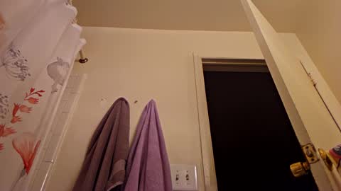 Snapshot of easybreeze69 chatting on February 21, 2025, 11:01 am easybreezy69 online show from February 21, 2025, 11:01 am