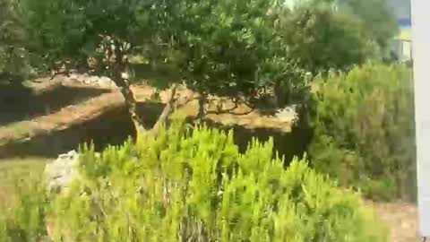 ebnk15 online show from September 30, 2025, 8:08 am