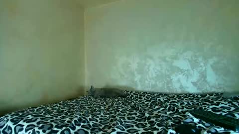 Snapshot of edavanessa7 chatting on November 20, 2025, 5:23 pm Nomyx OF check online show from November 20, 2025, 5:23 pm