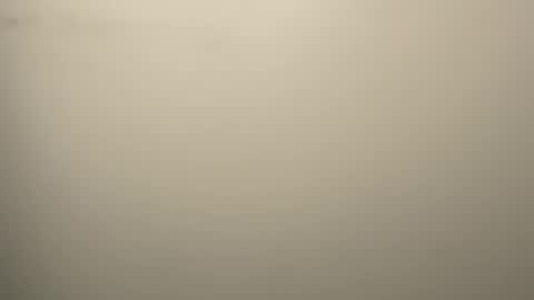 Eddy online show from February 12, 2026, 3:01 am