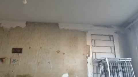 Snapshot of edifox chatting on February 12, 2025, 1:16 pm Alexander online show from February 12, 2025, 1:16 pm