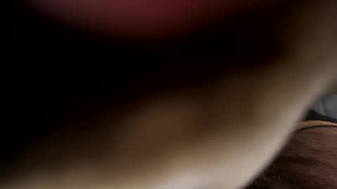 Snapshot of ehdgher chatting on April 21, 2026, 7:47 am ehdgher online show from April 21, 2026, 7:47 am