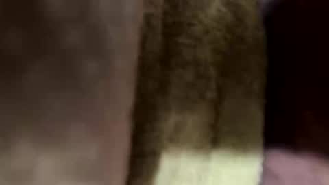Snapshot of ehdgher chatting on May 4, 2026, 12:56 pm ehdgher online show from May 4, 2026, 12:56 pm