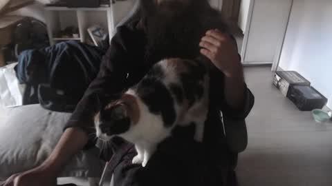 eighthundredeightyeight online show from November 9, 2025, 10:57 am