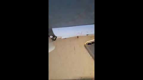 Snapshot of elaine33mae chatting on March 3, 2026, 6:41 am elaine33mae online show from March 3, 2026, 6:41 am