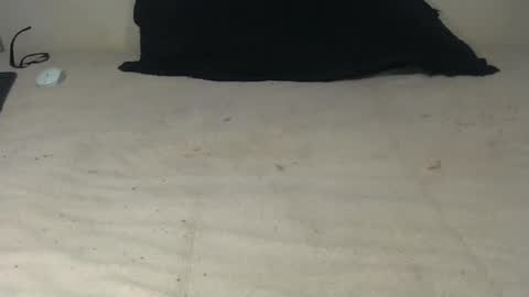 elgsslt online show from October 20, 2025, 10:49 am