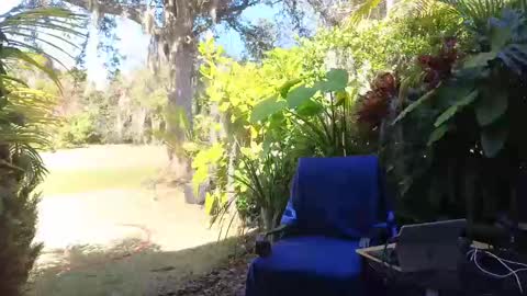 eliberator online show from February 9, 2025, 7:52 pm