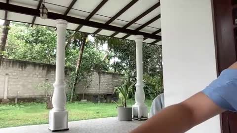   online show from January 28, 2025, 7:00 am