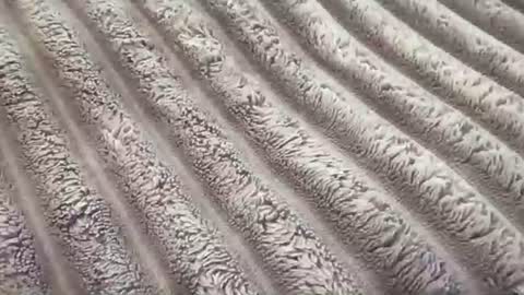 eliterd online show from November 29, 2025, 7:39 pm