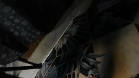 elithcoup_cum online show from December 7, 2024, 8:16 pm