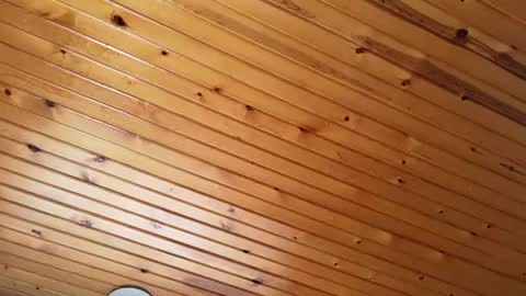 ellalowe online show from March 22, 2026, 2:53 pm