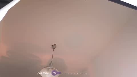 Snapshot of elliefrost chatting on February 12, 2025, 12:37 am elliefrost online show from February 12, 2025, 12:37 am