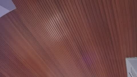 Snapshot of elodie_walker chatting on February 14, 2026, 11:40 am Elodie online show from February 14, 2026, 11:40 am