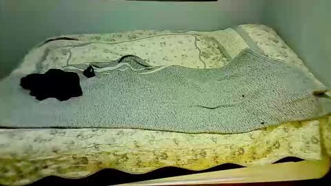 Elpouro online show from March 7, 2026, 10:01 am