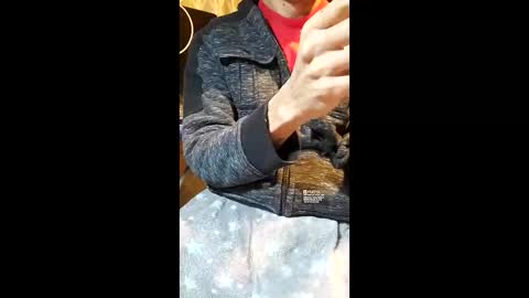 elvergg1 online show from January 19, 2026, 7:12 am