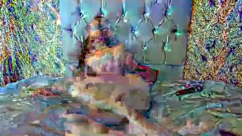 Snapshot of emigomez_ chatting on February 27, 2025, 11:48 pm Emilia Gomez online show from February 27, 2025, 11:48 pm