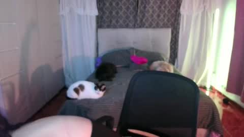 Emily  Swan online show from April 26, 2026, 1:47 am