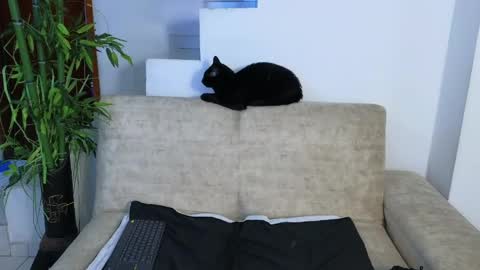 Emma Blue  modelo independiente online show from April 22, 2026, 3:53 am