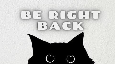   online show from February 22, 2026, 11:31 am