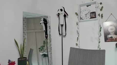 Snapshot of emperatriiiz chatting on January 30, 2025, 11:13 pm Emperatriz online show from January 30, 2025, 11:13 pm