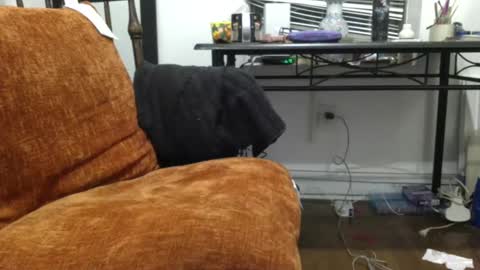 empusalamia online show from January 18, 2025, 11:22 pm