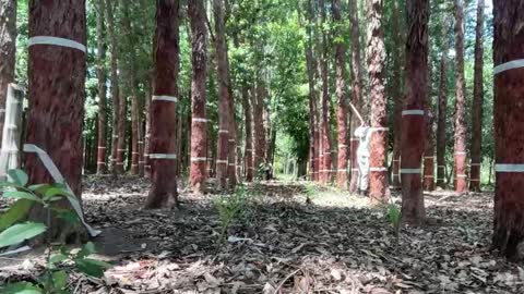 Luke online show from November 26, 2025, 1:45 pm